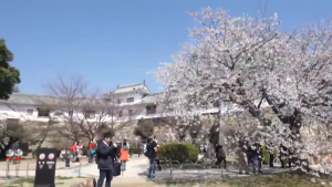 Screenshot_2015-03-27-23-11-18